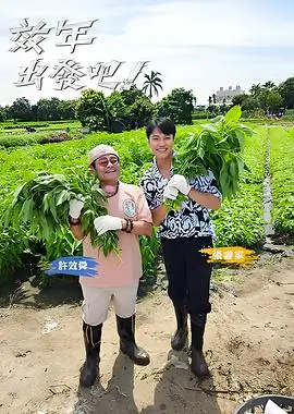 新综艺